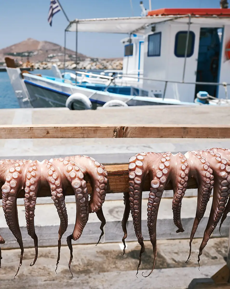 Fishing Tour in Tolo