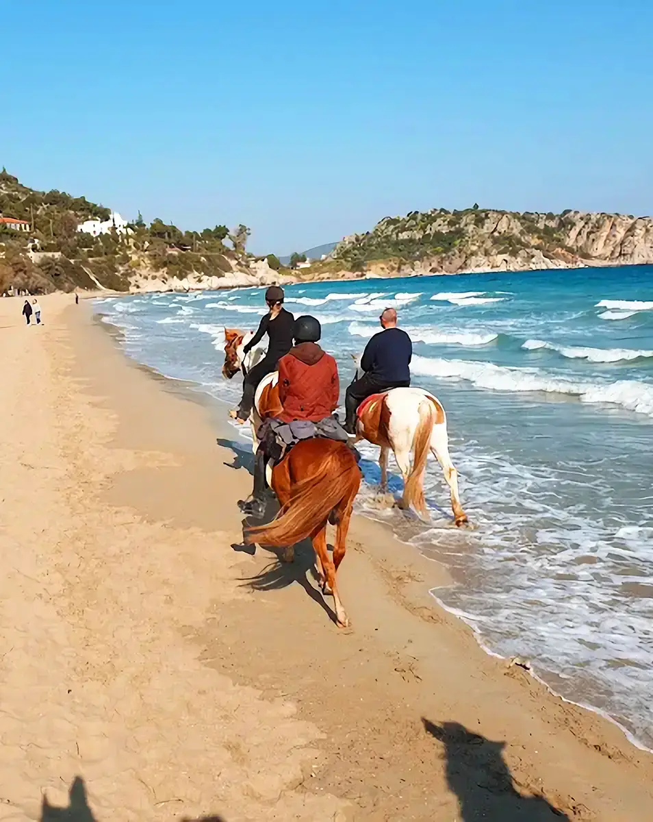 Ιππασία Τολό
